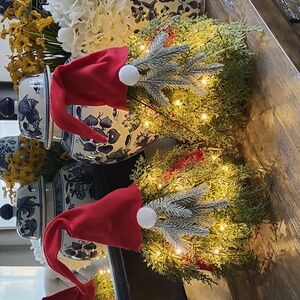 New Gnome Small Prelit Tree SET of 2